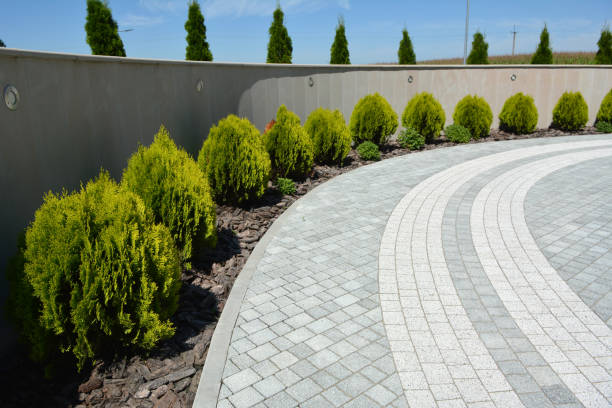 Best Driveway Paver Repair  in Deer Park, IL